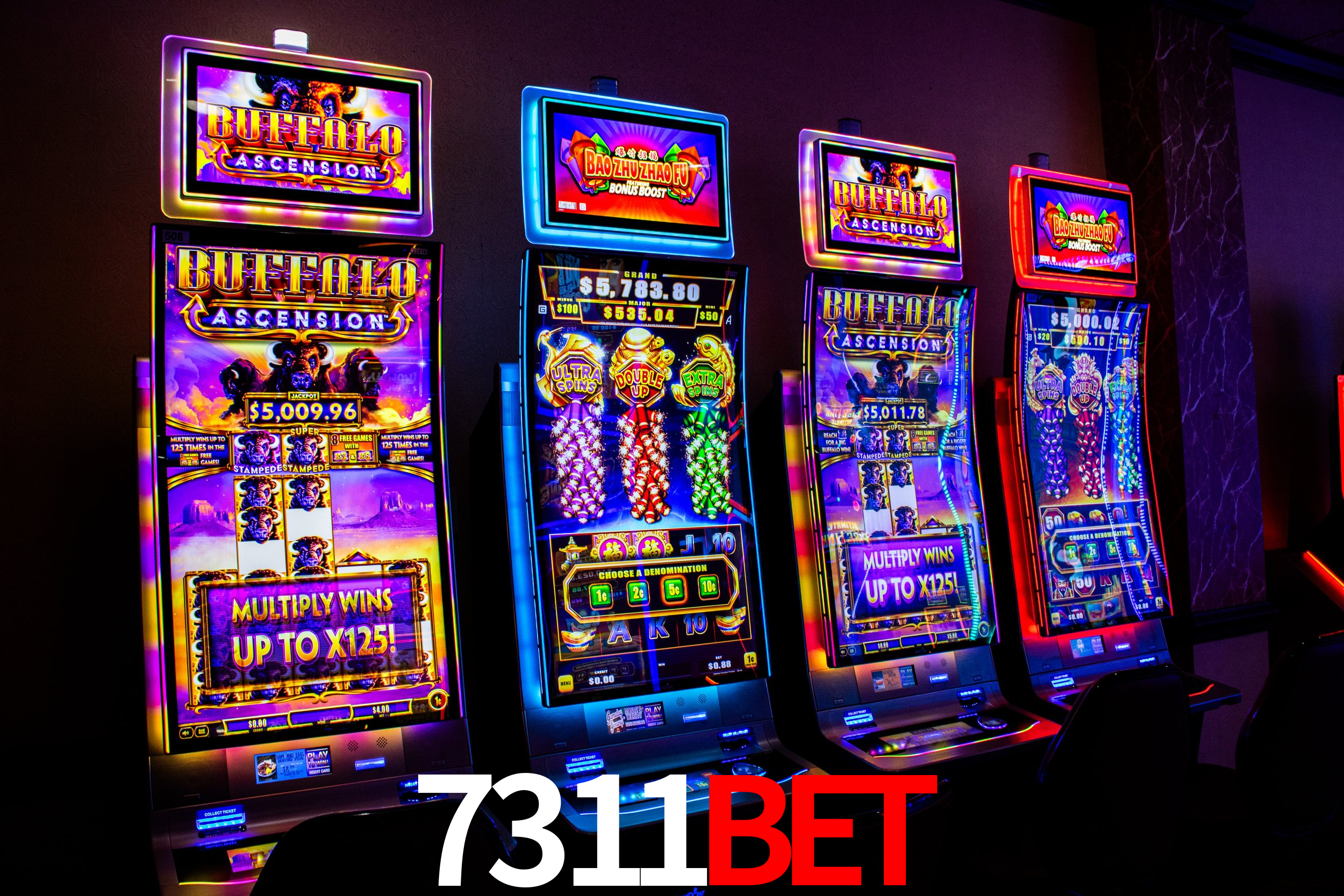 Descubra o Mundo do Cassino Online com 7311bet